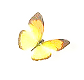 �{���s�@�s���Y�@���݁@�o�^�t���C